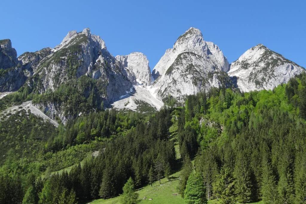 Das Almsternderl - gemütliche Wohnung in Gosau Exterior foto