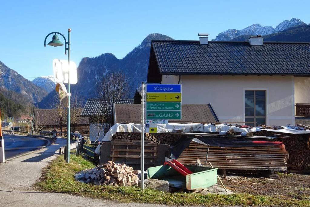 Das Almsternderl - gemütliche Wohnung in Gosau Exterior foto