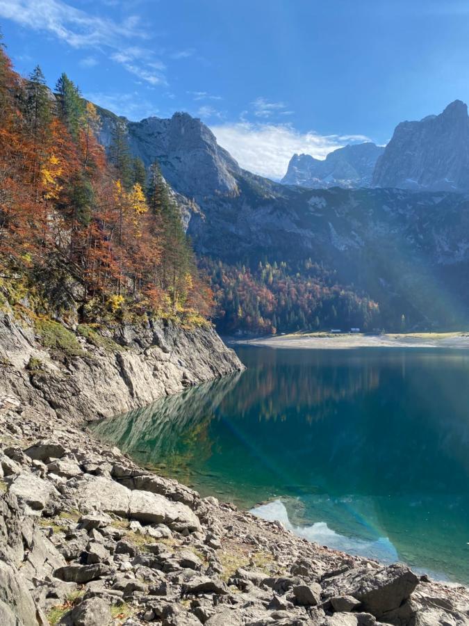 Das Almsternderl - gemütliche Wohnung in Gosau Exterior foto