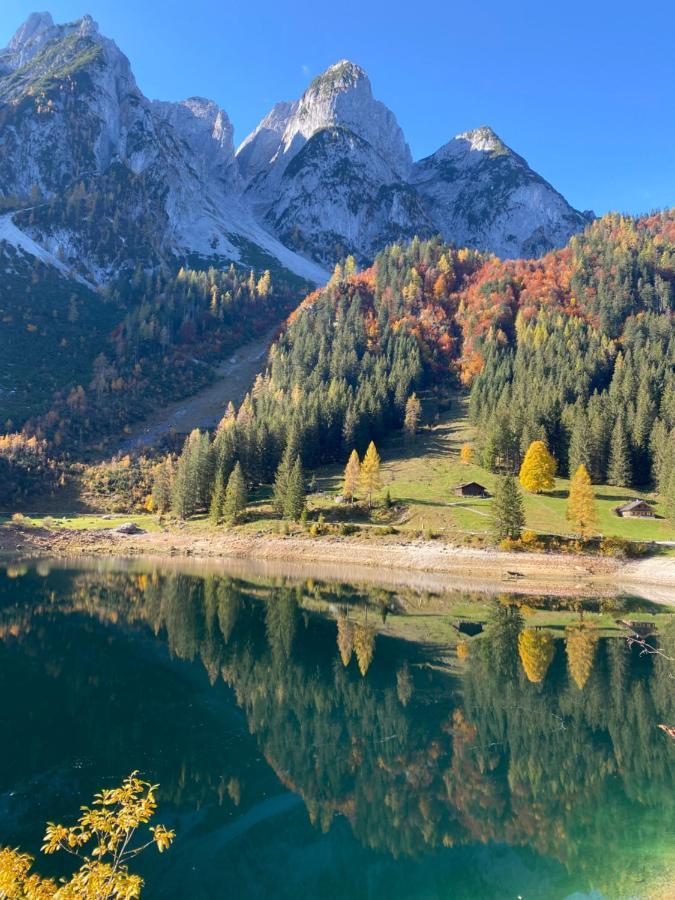 Das Almsternderl - gemütliche Wohnung in Gosau Exterior foto