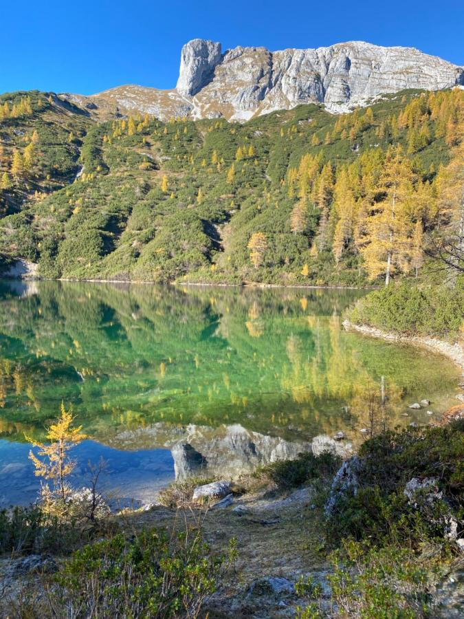 Das Almsternderl - gemütliche Wohnung in Gosau Exterior foto