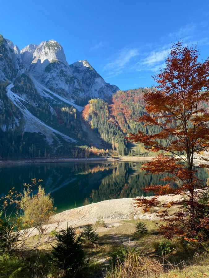 Das Almsternderl - gemütliche Wohnung in Gosau Exterior foto